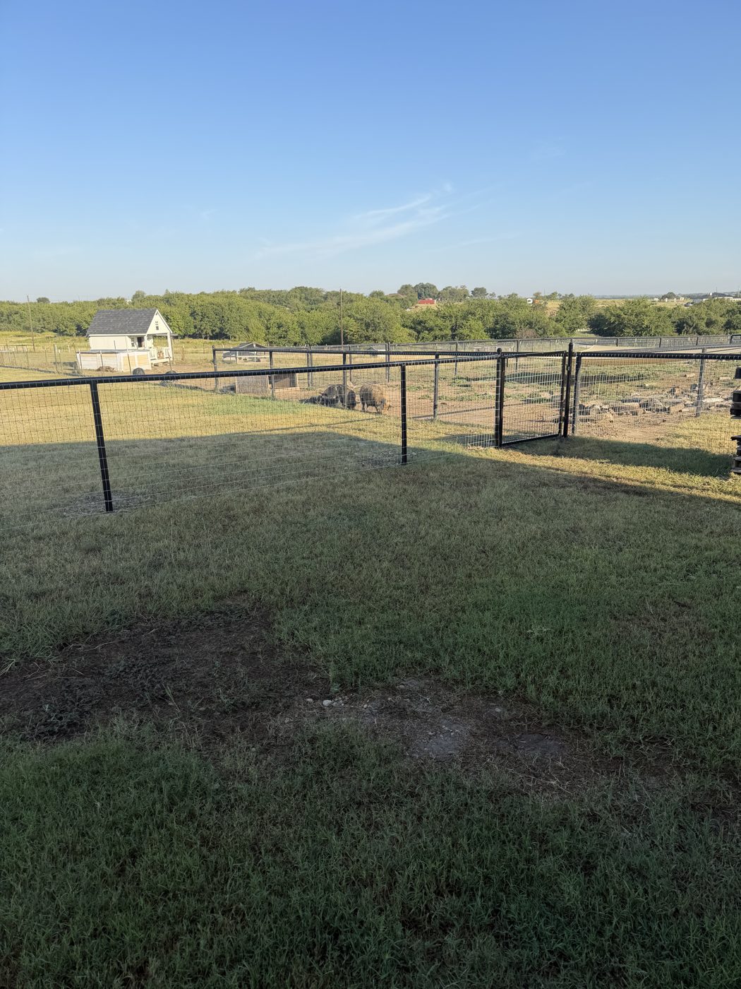 Field fence with gate around a livestock pen