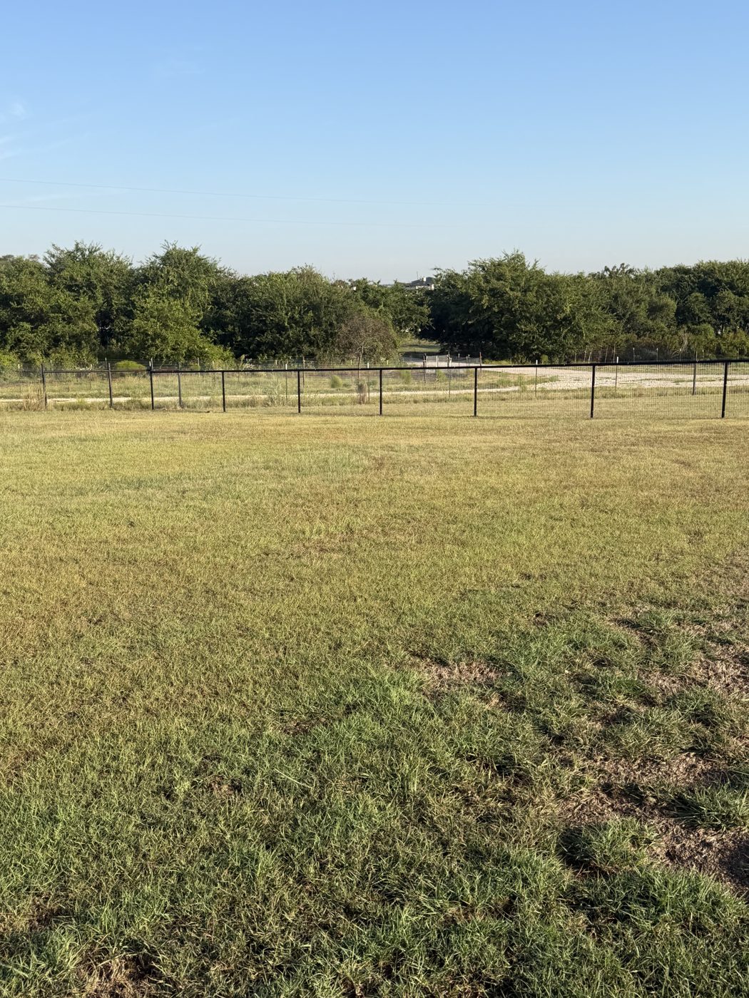 Field fence along a treeline on a rural property