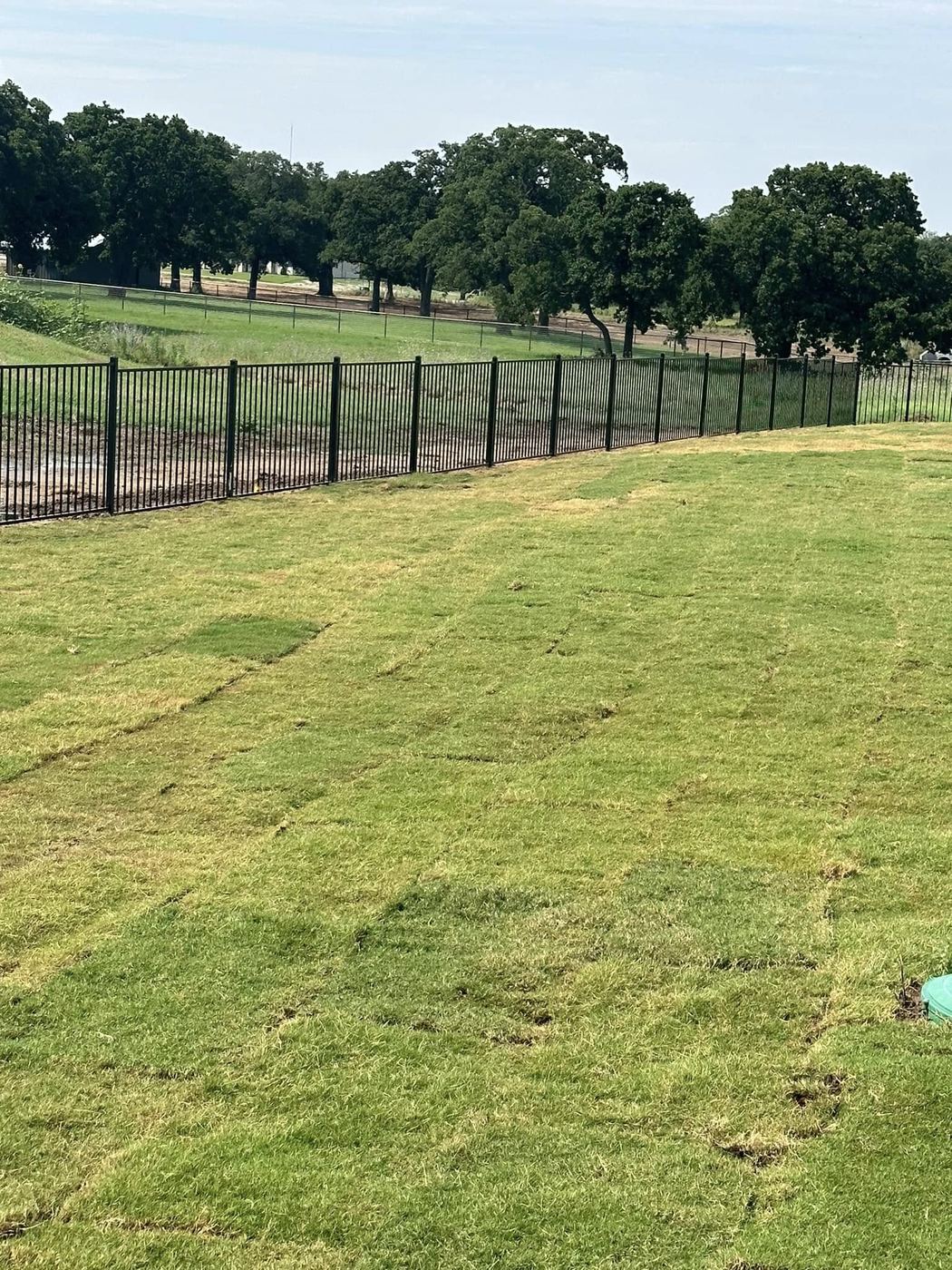 Flat-top steel pipe fence around a pasture