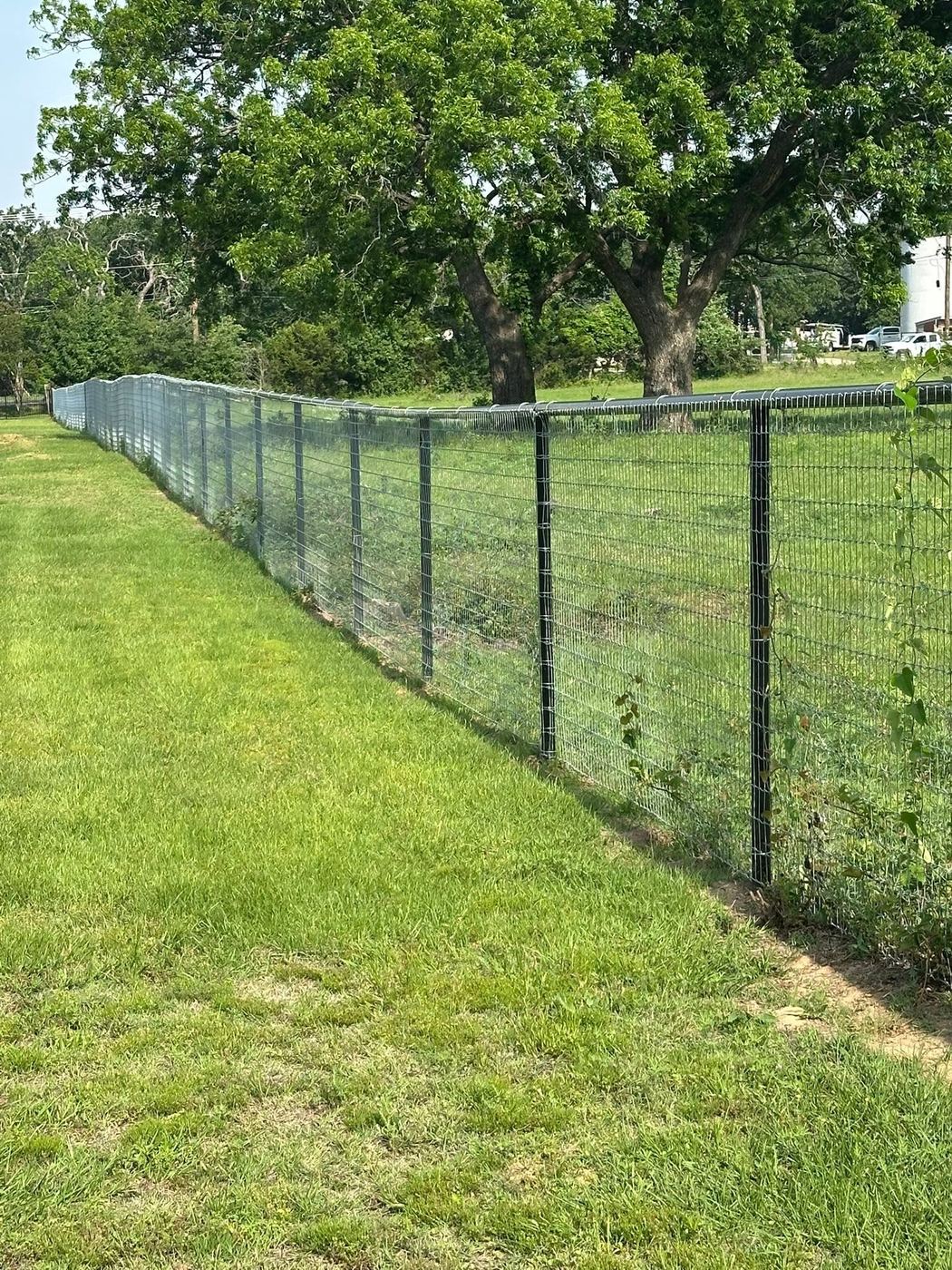 Woven wire field fence along a pasture